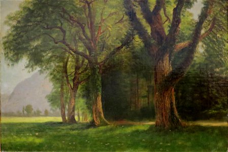 'In the Valley of the Yosemite' by Albert Bierstadt, 1872, oil on canvas, Honolulu Museum of Art
