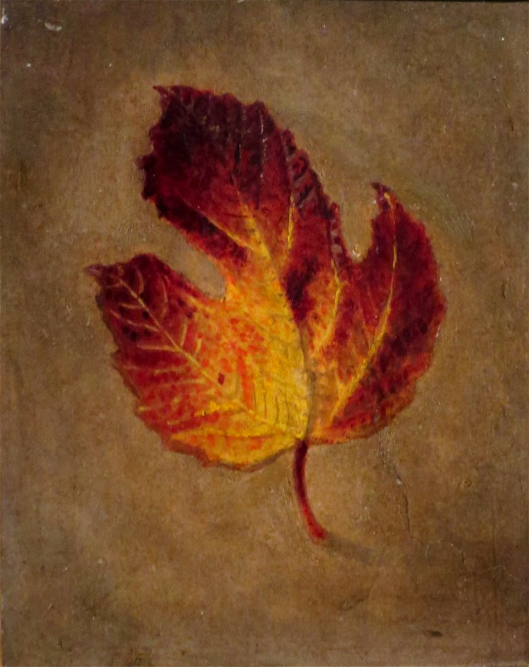 'Maple Leaf' by Edward Edmondson, Jr., Dayton Art Institute
