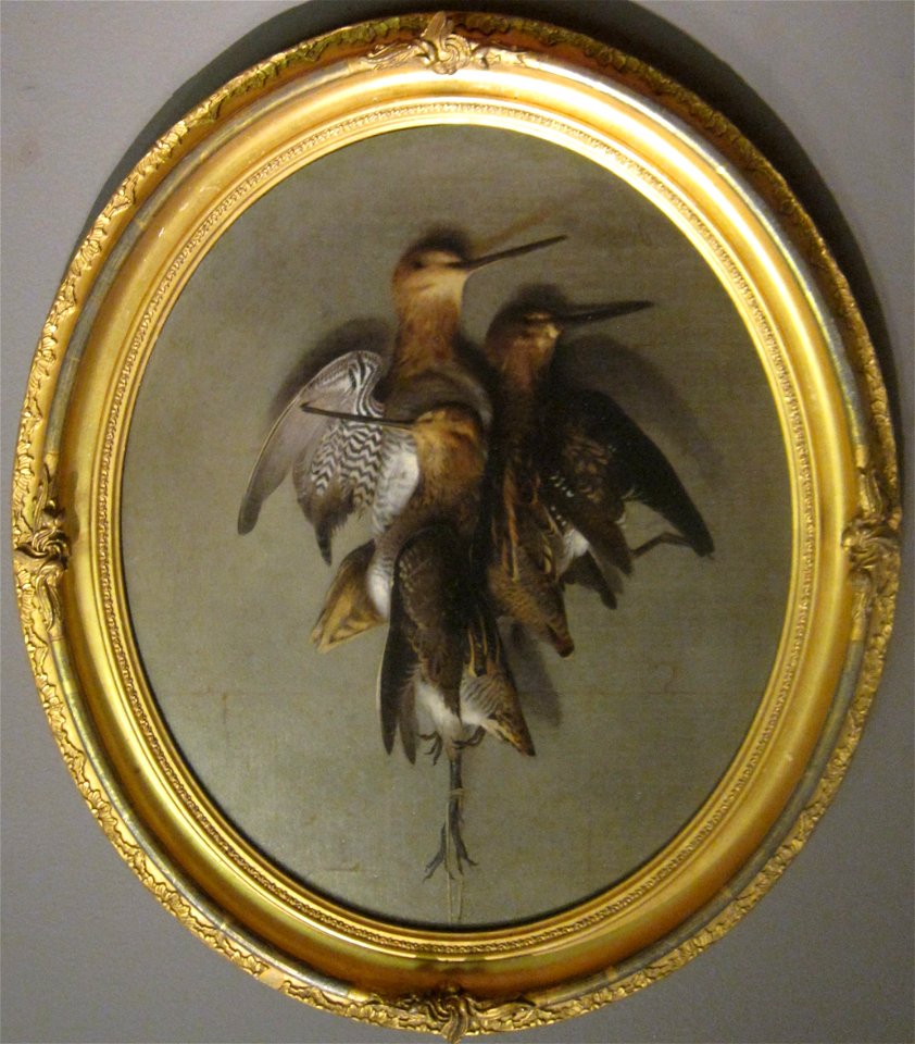 'Still Life with Snipe' by Samuel Marsden Brookes, 1868