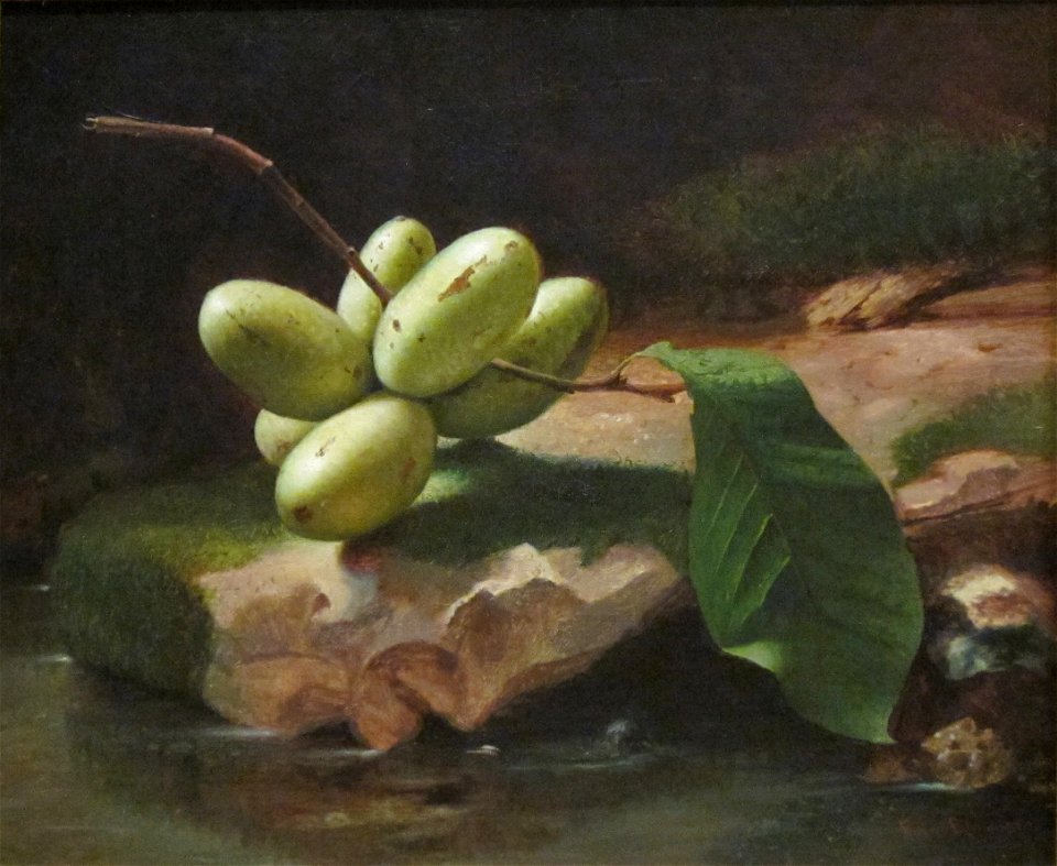 'Still-life with Paw Paws' Edward Edmondson, Jr., Dayton Art Institute