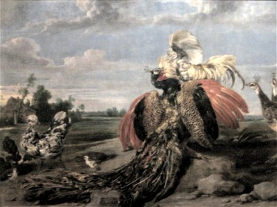'Peacock and Cock Fighting', oil on canvas painting by Paul de Vos, 17th century, Museu Calouste Gulbenkian, Lisbon. Free illustration for personal and commercial use.