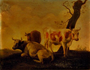 (naar) Paulus Potter001