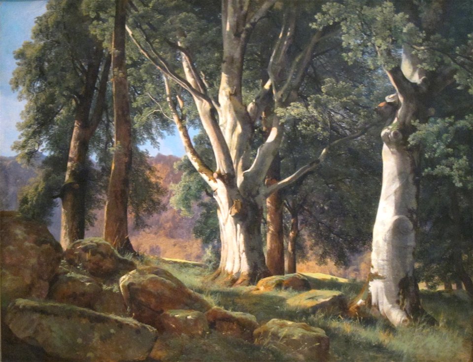 'The Sycamores' by Alexandre Calame, Cincinnati Art Museum
