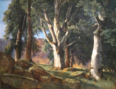 'The Sycamores' by Alexandre Calame, Cincinnati Art Museum. Free illustration for personal and commercial use.