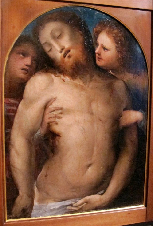 Baccafumi, cataletto per defunti della compagnia di s. a. abate, 1538-40, cristo morto e angeli