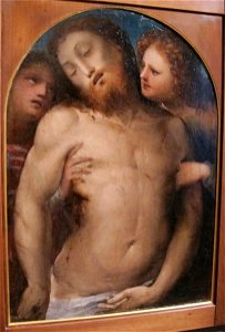 Baccafumi, cataletto per defunti della compagnia di s. a. abate, 1538-40, cristo morto e angeli