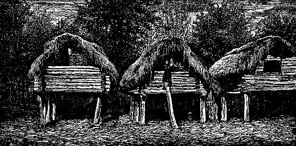 Barns in Saberio (Roskoschny, 1884)