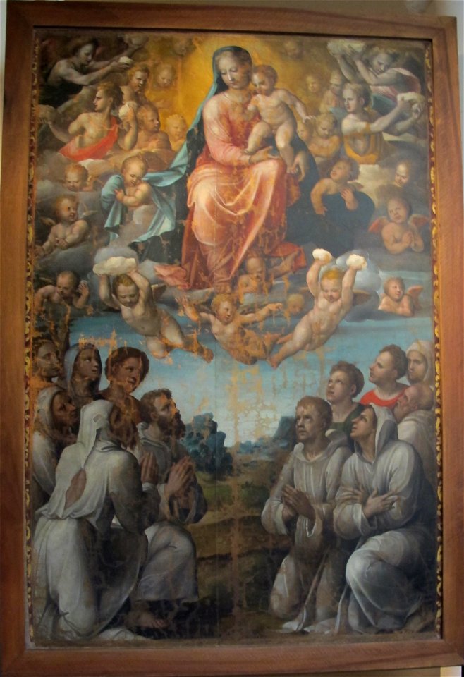 Bartolomeo neroni detto il riccio, madonna con i confratellid ella compagnia