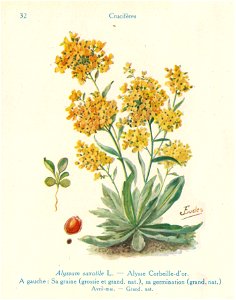 Alysse-J.Eudes-32