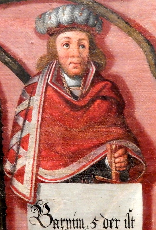 BarnimV