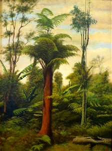 Tree Fern by Edward Bailey, 1899, Bailey House Museum