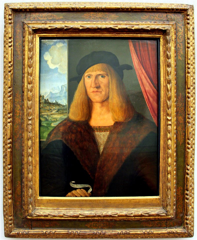 Jacopo de' barbari, ritratto di un uomo tedesco