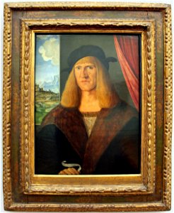 Jacopo de' barbari, ritratto di un uomo tedesco