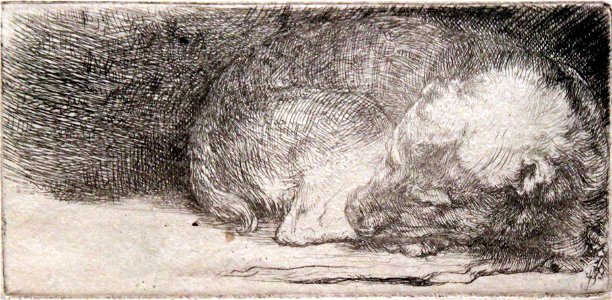 1640 Rembrandt Der schlafende Hund anagoria