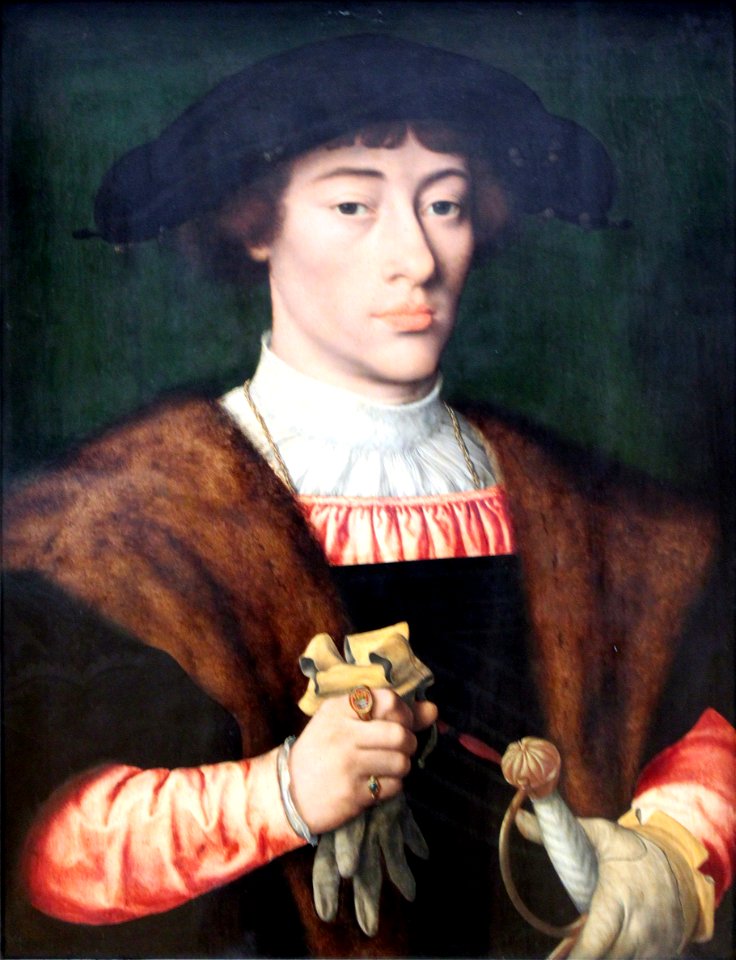 1528 van Cleve Bildnis eines jungen Mannes anagoria