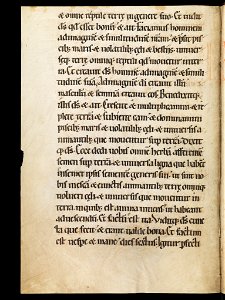 Aarau, Aargauer Kantonsbibliothek, MsWettF 13, f. 44v – Epistolare OCist