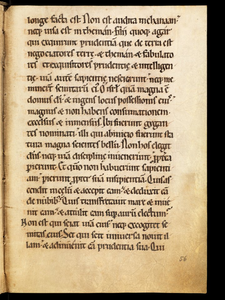Aarau, Aargauer Kantonsbibliothek, MsWettF 13, f. 56r – Epistolare OCist