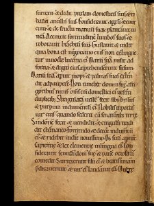 Aarau, Aargauer Kantonsbibliothek, MsWettF 13, f. 100v – Epistolare OCist