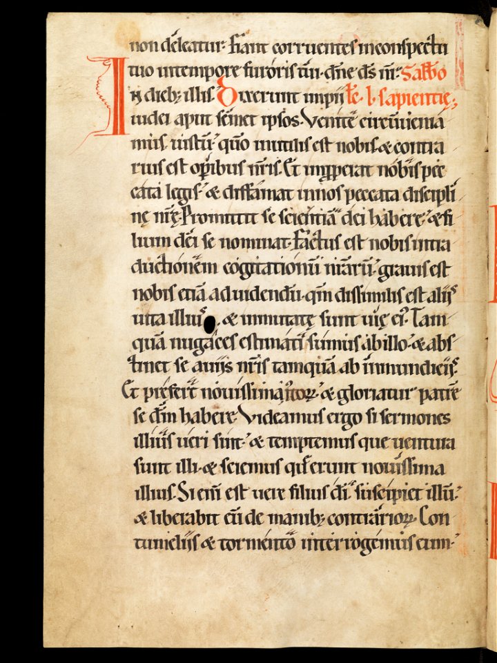 Aarau, Aargauer Kantonsbibliothek, MsWettF 13, f. 38v – Epistolare OCist