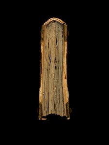 Aarau, Aargauer Kantonsbibliothek, MsWettF 13, Tail – Epistolare OCist