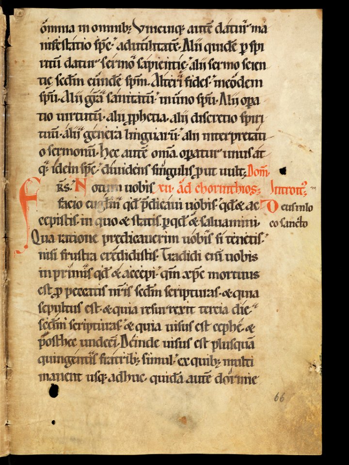 Aarau, Aargauer Kantonsbibliothek, MsWettF 13, f. 66r – Epistolare OCist