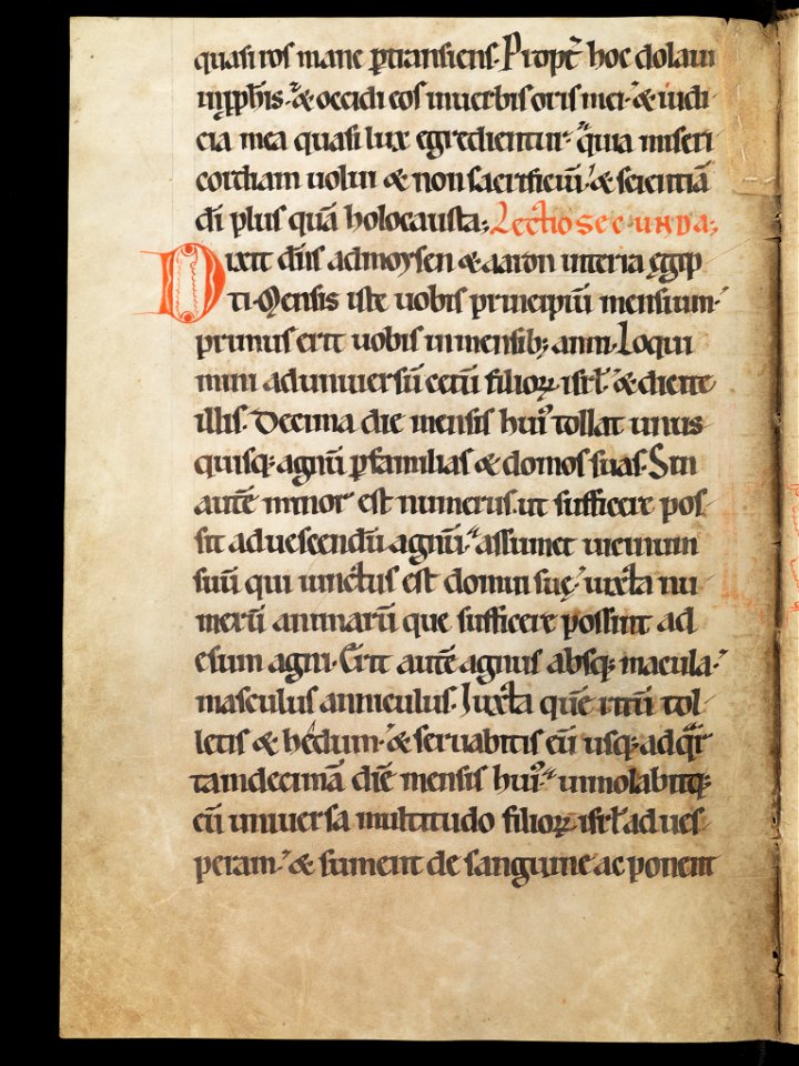 Aarau, Aargauer Kantonsbibliothek, MsWettF 13, f. 42v – Epistolare OCist