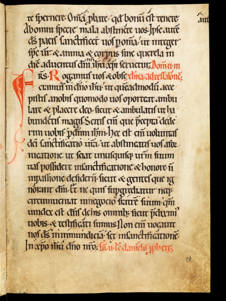 Aarau, Aargauer Kantonsbibliothek, MsWettF 13, f. 19r – Epistolare OCist