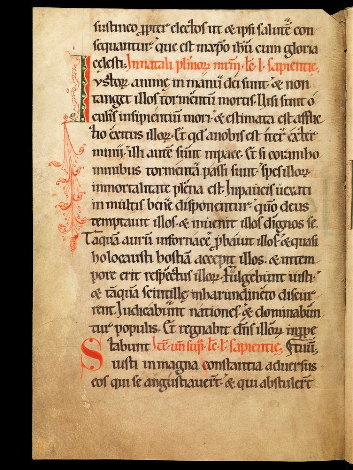 Aarau, Aargauer Kantonsbibliothek, MsWettF 13, f. 94v – Epistolare OCist