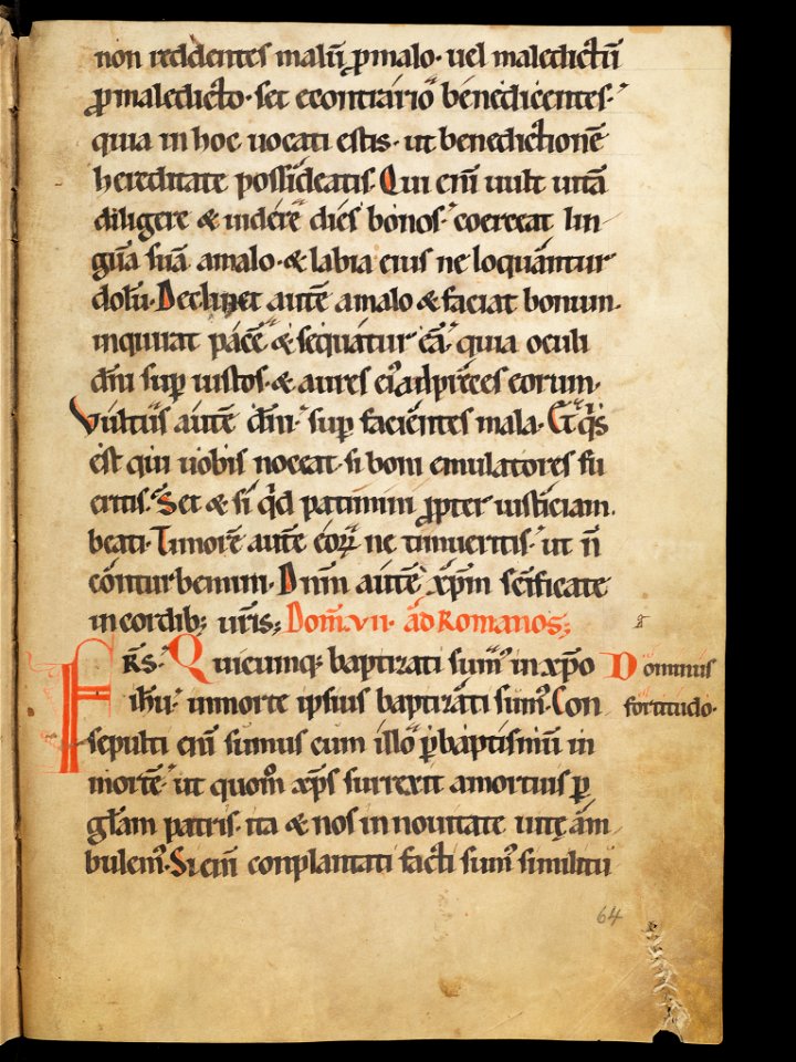 Aarau, Aargauer Kantonsbibliothek, MsWettF 13, f. 64r – Epistolare OCist