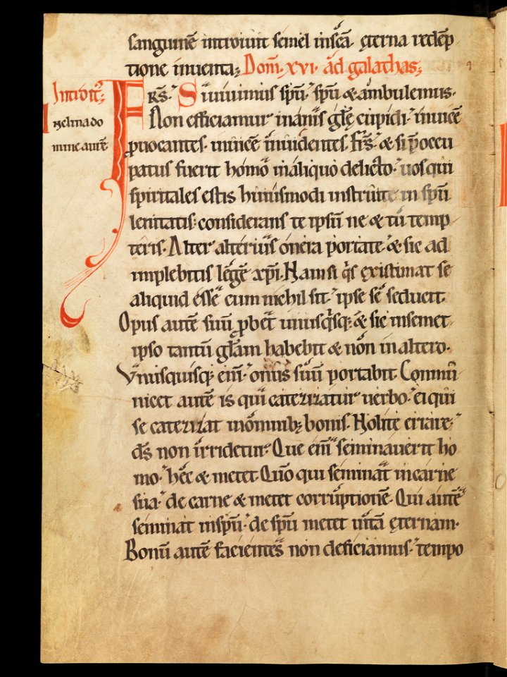 Aarau, Aargauer Kantonsbibliothek, MsWettF 13, f. 71v – Epistolare OCist