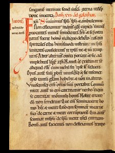 Aarau, Aargauer Kantonsbibliothek, MsWettF 13, f. 71v – Epistolare OCist