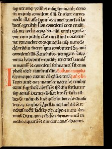 Aarau, Aargauer Kantonsbibliothek, MsWettF 13, f. 43r – Epistolare OCist