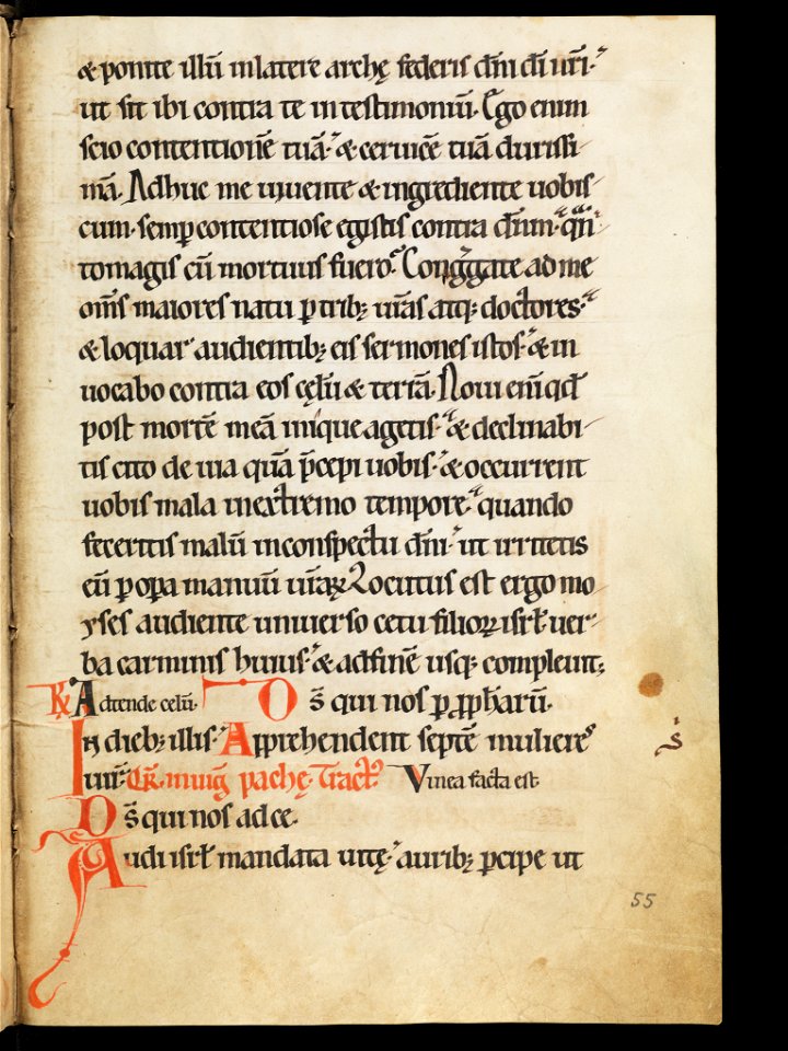 Aarau, Aargauer Kantonsbibliothek, MsWettF 13, f. 55r – Epistolare OCist