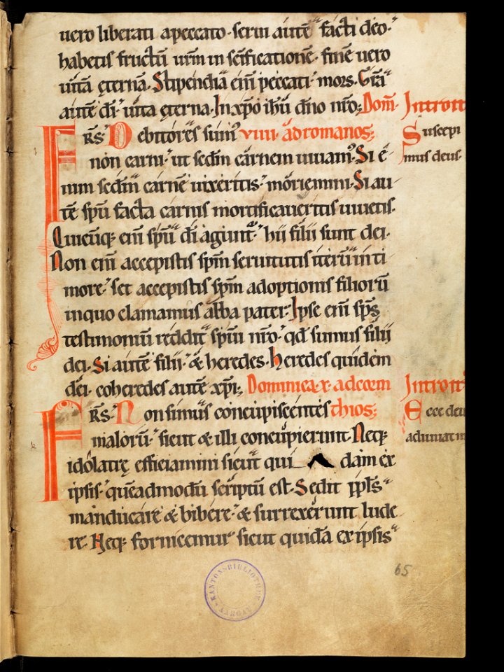 Aarau, Aargauer Kantonsbibliothek, MsWettF 13, f. 65r – Epistolare OCist