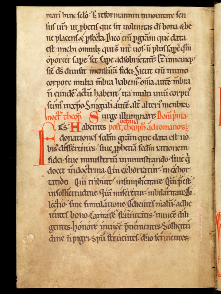 Aarau, Aargauer Kantonsbibliothek, MsWettF 13, f. 8v – Epistolare OCist