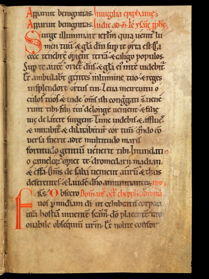 Aarau, Aargauer Kantonsbibliothek, MsWettF 13, f. 8r – Epistolare OCist