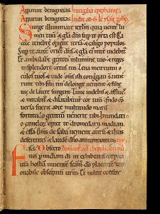Aarau, Aargauer Kantonsbibliothek, MsWettF 13, f. 8r – Epistolare OCist