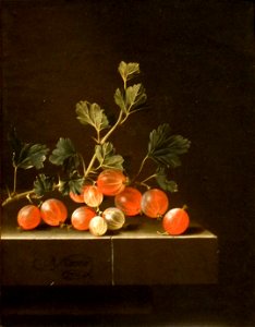 'Gooseberries on a Table' by Adriaen Coorte, 1701, Cleveland Museum of Art. Free illustration for personal and commercial use.
