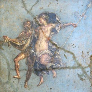 Coppia in volo