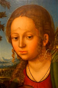 The Virgin with Child Eating Grapes, by Lucas Cranach the Elder, detail, c. 1509-1510 AD, oil on wood - Museo Nacional Centro de Arte Reina Sofía - DSC08584