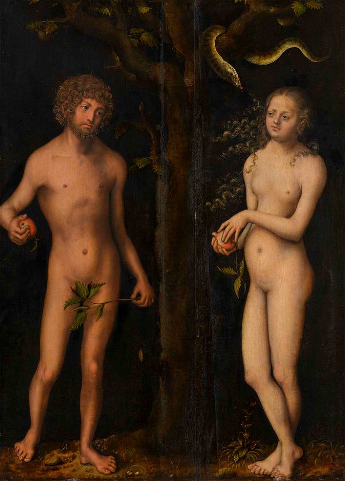 Cranach il vecchio, adamo ed eva, anni 1510