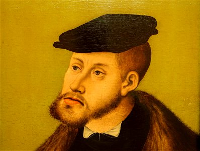 Portrait of the Emperor Charles V by Lucas Cranach the Elder, detail, 1533 AD, oil on wood - Museo Nacional Centro de Arte Reina Sofía - DSC08606