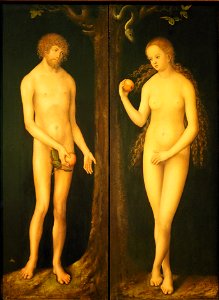 Cranach Adam u Eva@Herzog Anton Ulrich Museum (1)
