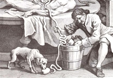 Cruelty4 - Dog detail