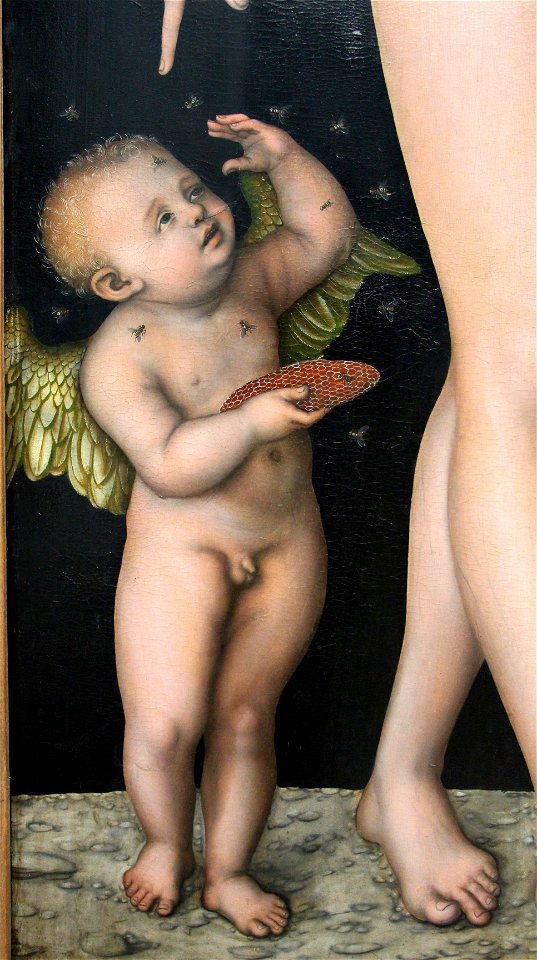 Cranach il vecchio, venere e amore con il favo, 1537 ca. 02