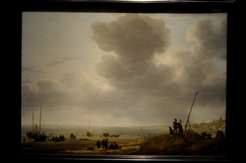De Vlieger Beach View