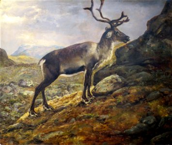 'Reindeer' by Johan Christian Dahl, 1850, Bergen Kunstmuseum