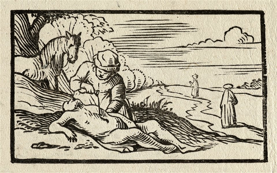 De Barmhartige Samaritaan. NL-HlmNHA 1477 53010159