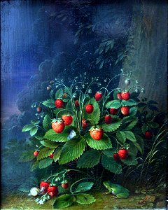 1820 Schlesinger Erdbeeren anagoria