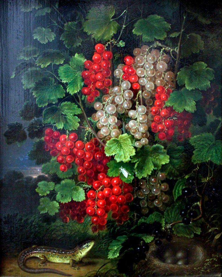 1820 Schlesinger Johannisbeeren anagoria